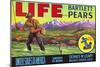 Life Brand Bartlett Pears Fruit Crate Label-null-Mounted Giclee Print
