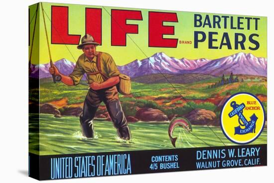 Life Brand Bartlett Pears Fruit Crate Label-null-Stretched Canvas