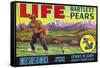 Life Brand Bartlett Pears Fruit Crate Label-null-Framed Stretched Canvas