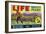 Life Brand Bartlett Pears Fruit Crate Label-null-Framed Premium Giclee Print