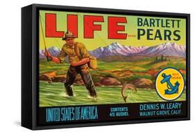 Life Brand Bartlett Pears-Schmidt Lithograph Co-Framed Stretched Canvas