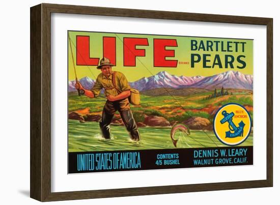 Life Brand Bartlett Pears-Schmidt Lithograph Co-Framed Art Print