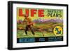 Life Brand Bartlett Pears-Schmidt Lithograph Co-Framed Art Print