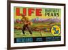 Life Brand Bartlett Pears-Schmidt Lithograph Co-Framed Art Print