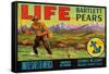 Life Brand Bartlett Pears-Schmidt Lithograph Co-Framed Stretched Canvas