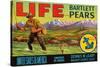 Life Brand Bartlett Pears-Schmidt Lithograph Co-Stretched Canvas