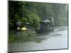 Life During the Monsoon Rains, Kerala, India-Balan Madhavan-Mounted Photographic Print