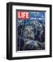 LIFE Ed Sanders - Other culture-null-Framed Art Print