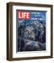 LIFE Ed Sanders - Other culture-null-Framed Art Print