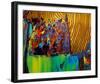 life enerGy-Pamela Nielsen-Framed Giclee Print