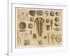 Life-Forms of the Paleozoic Epoch-Ferdinand Von Hochstetter-Framed Art Print