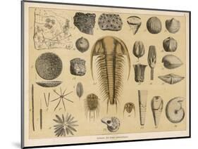 Life-Forms of the Paleozoic Epoch-Ferdinand Von Hochstetter-Mounted Art Print