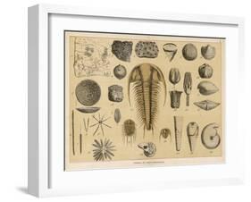 Life-Forms of the Paleozoic Epoch-Ferdinand Von Hochstetter-Framed Art Print