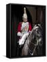 Life Guard One of the Household Cavalry Regiments on Sentry Duty, London, England, United Kingdom-Walter Rawlings-Framed Stretched Canvas