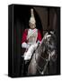 Life Guard One of the Household Cavalry Regiments on Sentry Duty, London, England, United Kingdom-Walter Rawlings-Framed Stretched Canvas