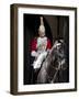 Life Guard One of the Household Cavalry Regiments on Sentry Duty, London, England, United Kingdom-Walter Rawlings-Framed Photographic Print