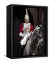 Life Guard One of the Household Cavalry Regiments on Sentry Duty, London, England, United Kingdom-Walter Rawlings-Framed Stretched Canvas