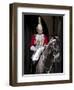 Life Guard One of the Household Cavalry Regiments on Sentry Duty, London, England, United Kingdom-Walter Rawlings-Framed Photographic Print