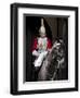 Life Guard One of the Household Cavalry Regiments on Sentry Duty, London, England, United Kingdom-Walter Rawlings-Framed Photographic Print