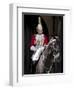 Life Guard One of the Household Cavalry Regiments on Sentry Duty, London, England, United Kingdom-Walter Rawlings-Framed Photographic Print