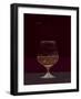 Life Half Full Half Empty-Dominique Vari-Framed Art Print