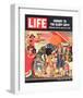 LIFE Hollywood's Glory Days-null-Framed Art Print