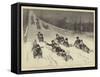 Life in Canada, the Earl and Countess of Dufferin at a Tobogganing Party at Ottawa-John Charles Dollman-Framed Stretched Canvas