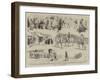 Life in Colorado-Alfred Chantrey Corbould-Framed Giclee Print