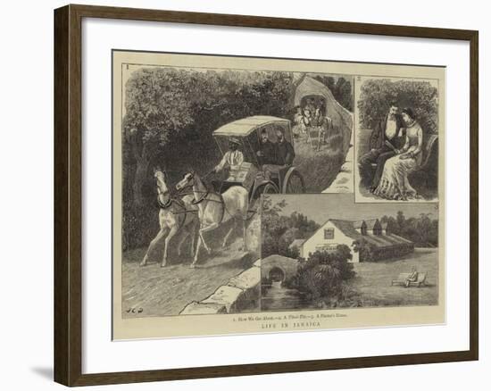 Life in Jamaica-John Charles Dollman-Framed Giclee Print