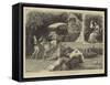 Life in Jamaica-John Charles Dollman-Framed Stretched Canvas