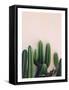 Life in Mexico-PhotoINC Studio-Framed Stretched Canvas