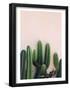 Life in Mexico-PhotoINC Studio-Framed Poster