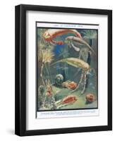 Life in Paleozoic Seas, Illustration from 'The Science of Life'-Leonard Robert Brightwell-Framed Premium Giclee Print