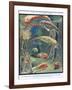 Life in Paleozoic Seas, Illustration from 'The Science of Life'-Leonard Robert Brightwell-Framed Giclee Print