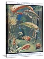 Life in Paleozoic Seas, Illustration from 'The Science of Life'-Leonard Robert Brightwell-Stretched Canvas