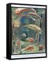 Life in Paleozoic Seas, Illustration from 'The Science of Life'-Leonard Robert Brightwell-Framed Stretched Canvas