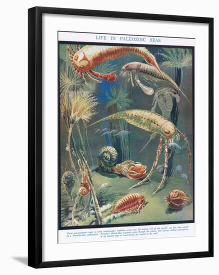 Life in Paleozoic Seas, Illustration from 'The Science of Life'-Leonard Robert Brightwell-Framed Giclee Print