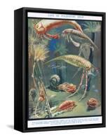 Life in Paleozoic Seas, Illustration from 'The Science of Life'-Leonard Robert Brightwell-Framed Stretched Canvas