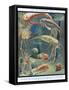 Life in Paleozoic Seas, Illustration from 'The Science of Life'-Leonard Robert Brightwell-Framed Stretched Canvas