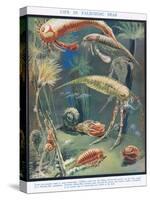 Life in Paleozoic Seas, Illustration from 'The Science of Life'-Leonard Robert Brightwell-Stretched Canvas