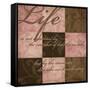 Life in Pink-N. Harbick-Framed Stretched Canvas