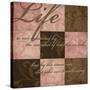 Life in Pink-N. Harbick-Stretched Canvas