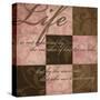 Life in Pink-N. Harbick-Stretched Canvas