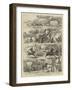 Life in the Backwoods of Queensland-Alfred Chantrey Corbould-Framed Giclee Print