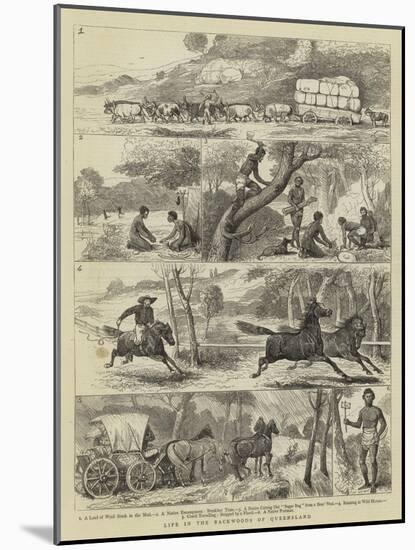 Life in the Backwoods of Queensland-Alfred Chantrey Corbould-Mounted Giclee Print