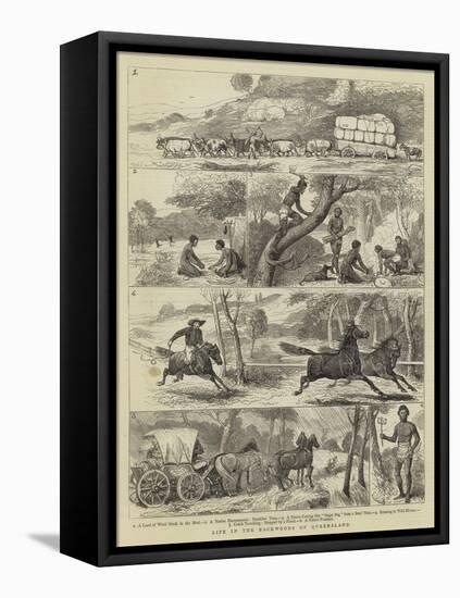 Life in the Backwoods of Queensland-Alfred Chantrey Corbould-Framed Stretched Canvas