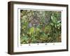 Life In The Jungle 1-Francois Ruyer-Framed Giclee Print