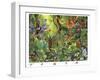 Life In The Jungle 2-Francois Ruyer-Framed Giclee Print