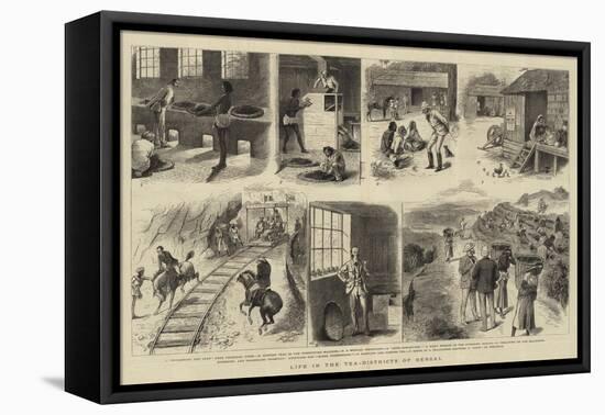 Life in the Tea-Districts of Bengal-William Ralston-Framed Stretched Canvas