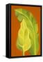 Life in the Tropics II-Soraya Chemaly-Framed Stretched Canvas